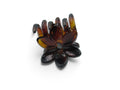 Tiburón/broche Flor pequeña